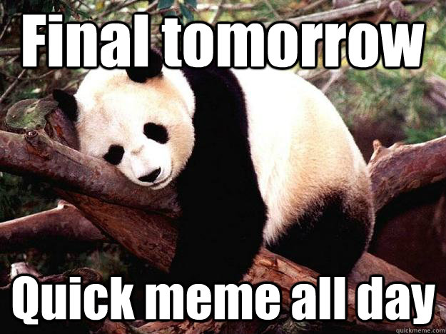 Final tomorrow Quick meme all day  Procrastination Panda