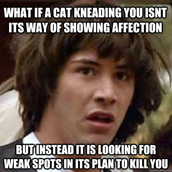 What if a cat kneading you isnt its way of showing affection but instead it is looking for weak spots in its plan to kill you - What if a cat kneading you isnt its way of showing affection but instead it is looking for weak spots in its plan to kill you  conspiracy keanu