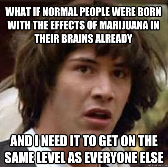 What if normal people were born with the effects of marijuana in their brains already and I need it to get on the same level as everyone else  conspiracy keanu