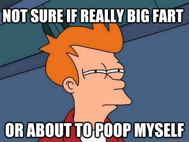 Not sure if really big fart Or about to poop myself  Futurama Fry