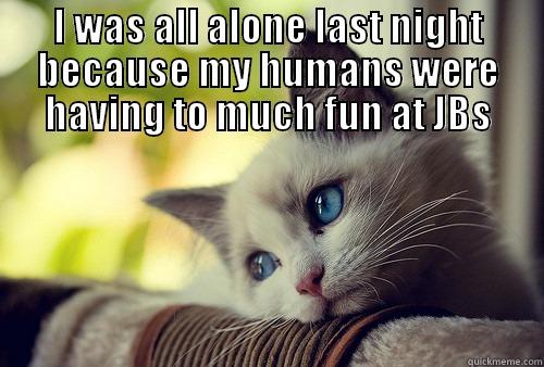 I WAS ALL ALONE LAST NIGHT BECAUSE MY HUMANS WERE HAVING TO MUCH FUN AT JBS  First World Problems Cat