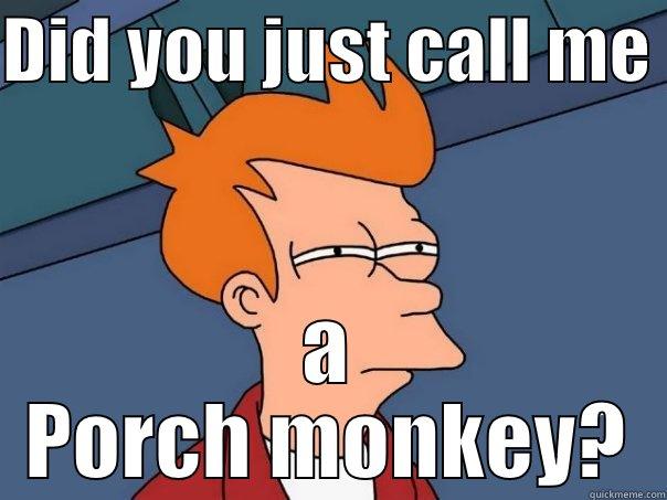 porchmonkey lol - DID YOU JUST CALL ME  A PORCH MONKEY? Futurama Fry