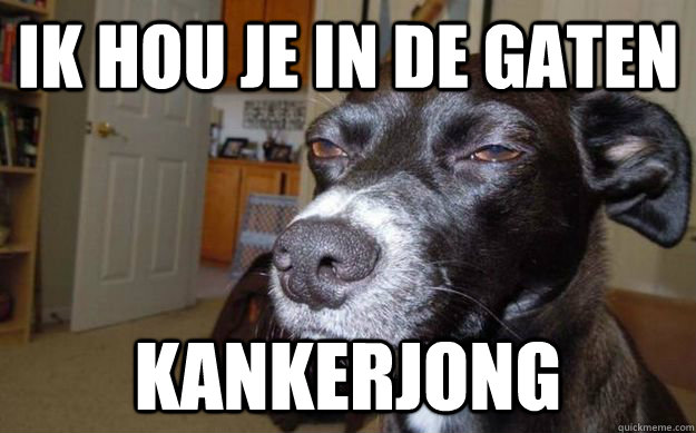 ik hou je in de gaten kankerjong  Skeptical Mutt