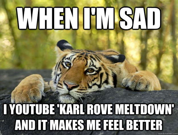 When I'm sad I youtube 'Karl Rove meltdown' and it makes me feel better - When I'm sad I youtube 'Karl Rove meltdown' and it makes me feel better  Confession Tiger