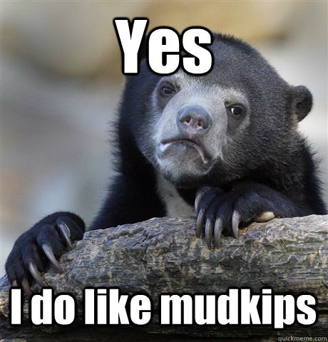 Yes I do like mudkips  Confession Bear