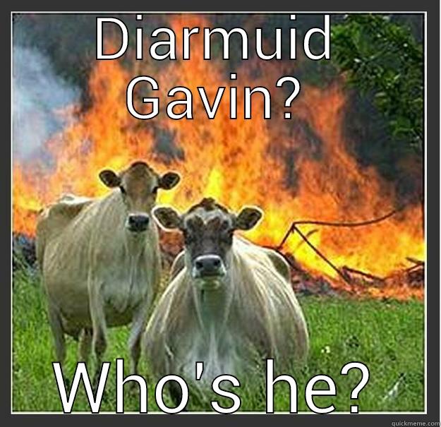 DIARMUID GAVIN? WHO'S HE? Evil cows