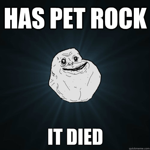 has pet rock it died  Forever Alone