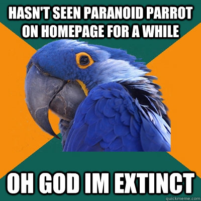 Hasn't seen paranoid parrot on homepage for a while oh god im extinct  Paranoid Parrot