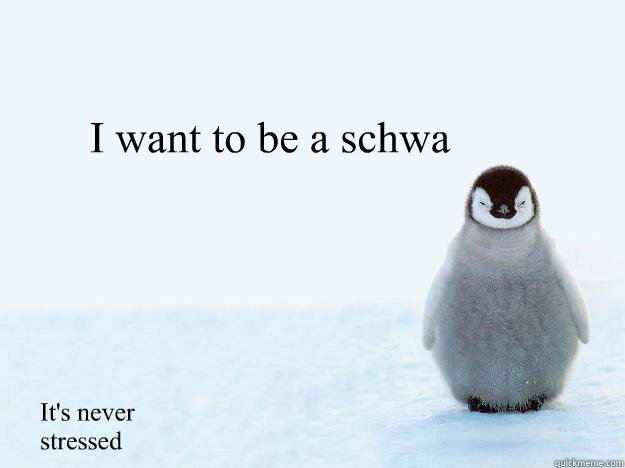 I want to be a schwa It's never stressed - I want to be a schwa It's never stressed  Miserable Penguin