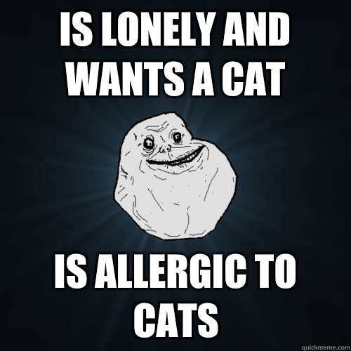 Is Lonely and wants a cat Is allergic to cats  Forever Alone