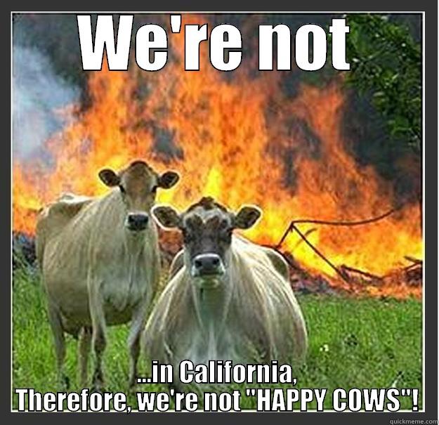 California cows? - WE'RE NOT ...IN CALIFORNIA, THEREFORE, WE'RE NOT 