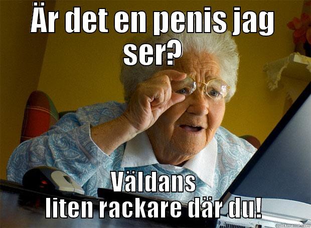 Creatvie as fawkk - ÄR DET EN PENIS JAG SER? VÄLDANS LITEN RACKARE DÄR DU! Grandma finds the Internet