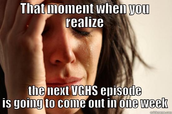 VGHS :( - THAT MOMENT WHEN YOU REALIZE THE NEXT VGHS EPISODE IS GOING TO COME OUT IN ONE WEEK First World Problems