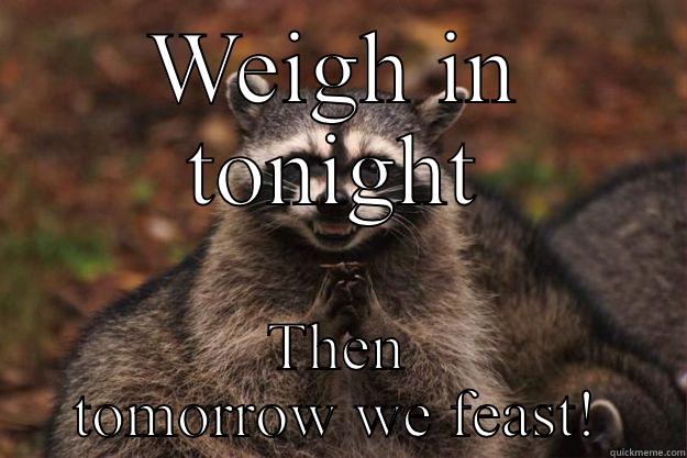 WEIGH IN TONIGHT THEN TOMORROW WE FEAST! Evil Plotting Raccoon