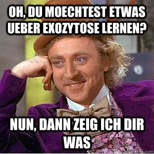 Oh, du moechtest etwas ueber exozytose lernen? nun, dann zeig ich dir was  Condescending Wonka