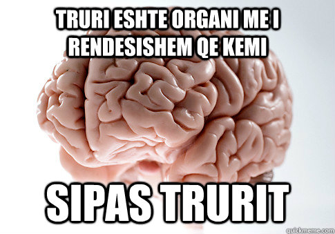 Truri eshte organi me i rendesishem qe kemi  sipas trurit  Scumbag Brain