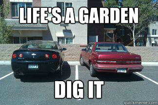 Life's a garden DIG IT - Life's a garden DIG IT  you gotta keep on keepin on