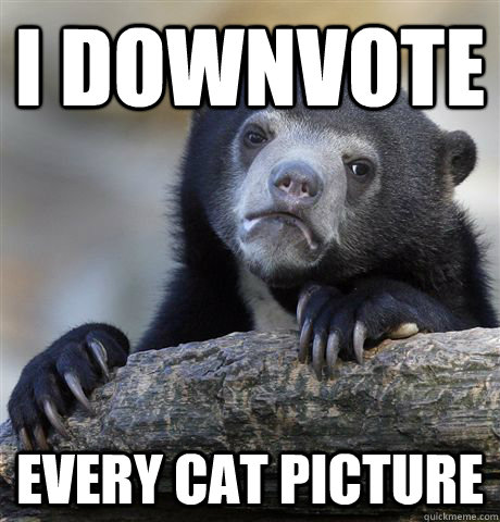 I downvote every cat picture  Confession Bear