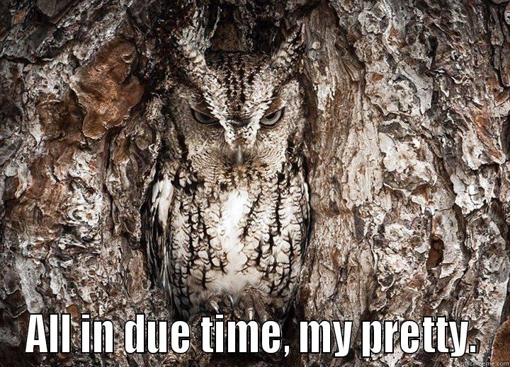 owl due time -  ALL IN DUE TIME, MY PRETTY. Misc