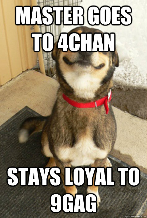 Master goes to 4chan stays loyal to 9gag  Good Dog Greg