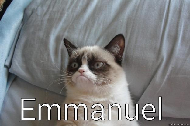  EMMANUEL Grumpy Cat