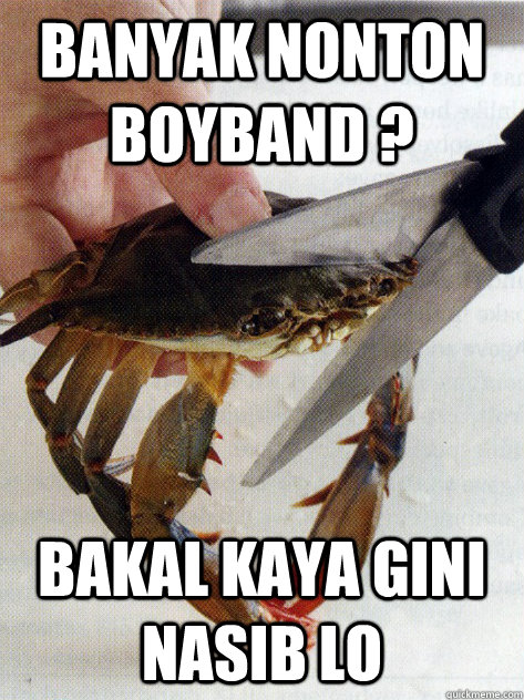 banyak nonton boyband ? bakal kaya gini nasib lo  Optimistic Crab