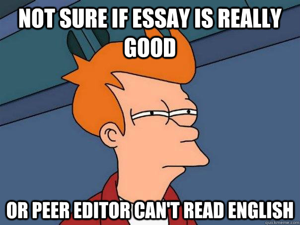 Not sure if essay is really good Or peer editor can't read english  Futurama Fry