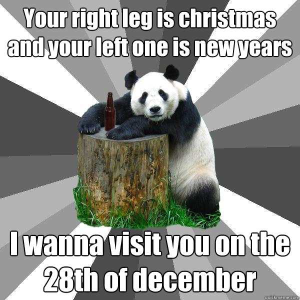 Your right leg is christmas and your left one is new years I wanna visit you on the 28th of december  Pickup-Line Panda