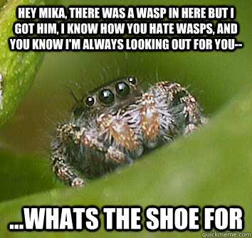 Hey Mika, there was a wasp in here but I got him, I know how you hate wasps, and you know I'm always looking out for you-- ...whats the shoe for  Misunderstood Spider