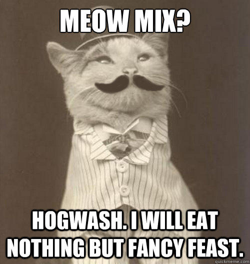 meow mix? hogwash. I will eat nothing but fancy feast.  
