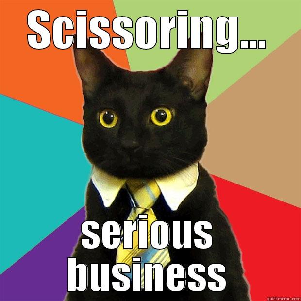 Scissin' aint easy - SCISSORING... SERIOUS BUSINESS Business Cat