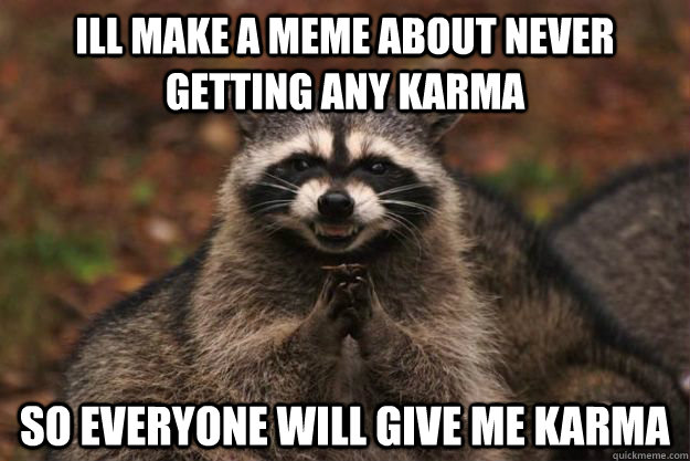 Ill make a meme about never getting any karma So everyone will give me karma  Evil Plotting Raccoon