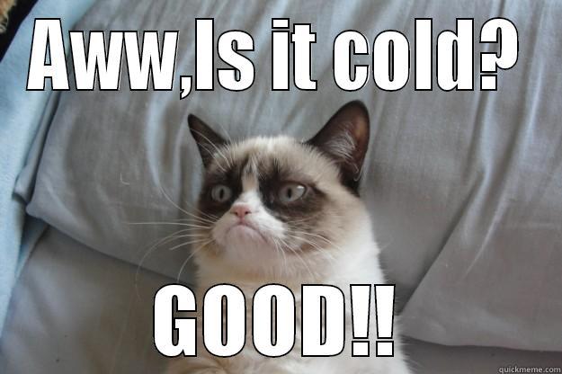 AWW,IS IT COLD? GOOD!! Grumpy Cat