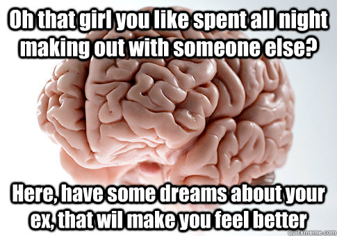 Oh that girl you like spent all night making out with someone else? Here, have some dreams about your ex, that wil make you feel better   Scumbag Brain