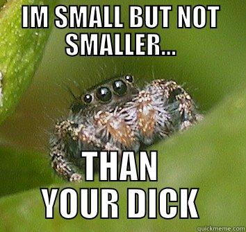 IM SMALL BUT NOT SMALLER... THAN YOUR DICK Misunderstood Spider