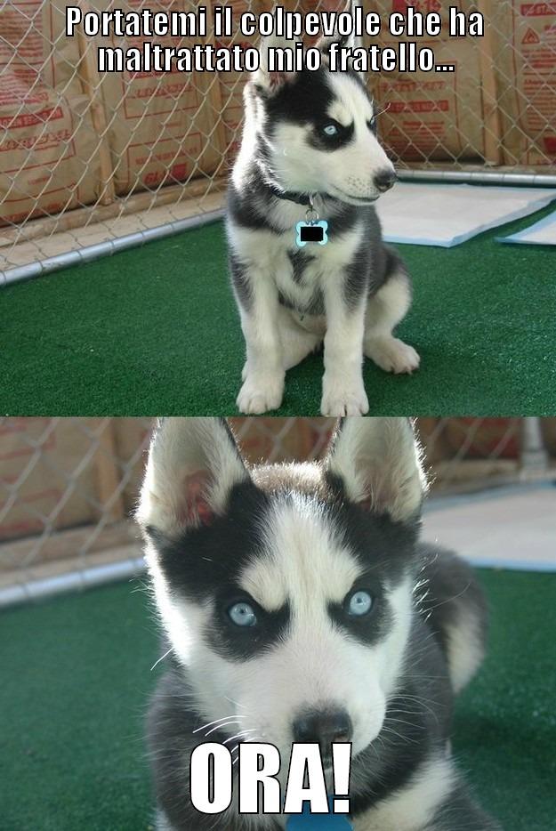 Vendetta antianimalista! - PORTATEMI IL COLPEVOLE CHE HA MALTRATTATO MIO FRATELLO... ORA! Insanity puppy