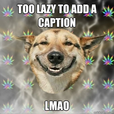 too lazy to add a caption lmao  Stoner Dog