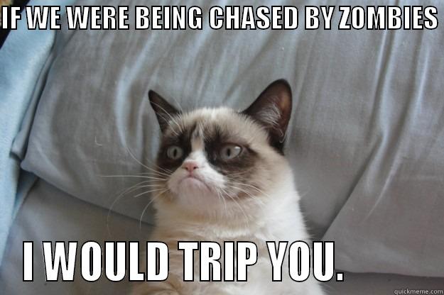 IF WE WERE BEING CHASED BY ZOMBIES  I WOULD TRIP YOU.          Grumpy Cat