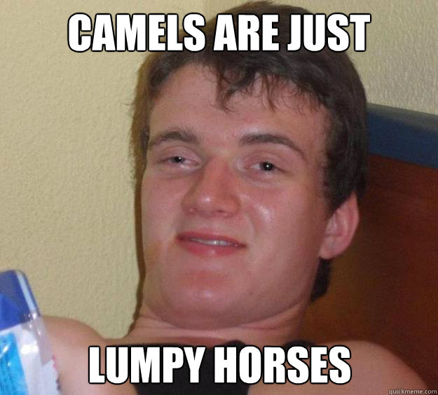 Camels are just Lumpy horses  10 Guy