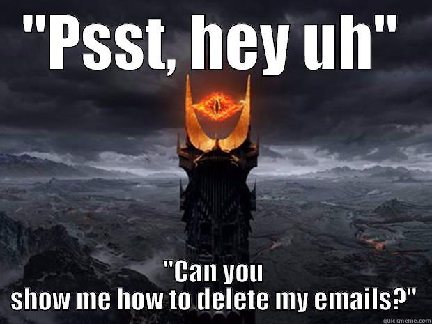 can-you-show-me-how-to-delete-my-emails-quickmeme