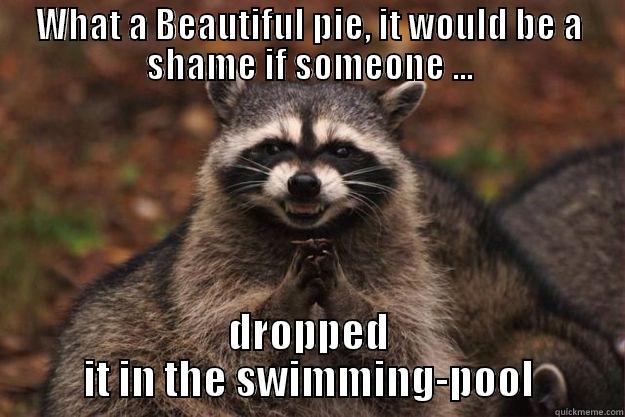 WHAT A BEAUTIFUL PIE, IT WOULD BE A SHAME IF SOMEONE ... DROPPED IT IN THE SWIMMING-POOL Evil Plotting Raccoon