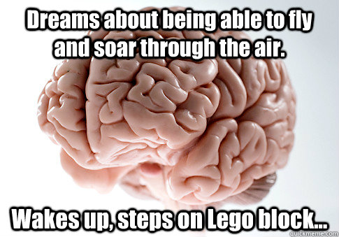 Dreams about being able to fly and soar through the air. Wakes up, steps on Lego block...  Scumbag Brain