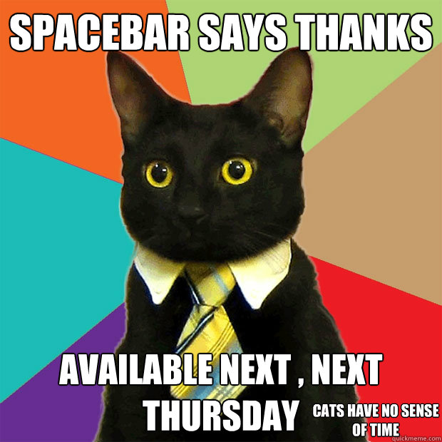 Spacebar Says Thanks Available Next , Next Thursday cats have no sense of time  Business Cat