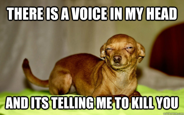 there is a voice in my head And its telling me to kill you  untitled meme