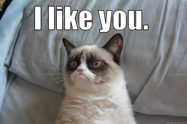 Another reason why I love Grumps.. She's an Aries, too! - I LIKE YOU.  Grumpy Cat