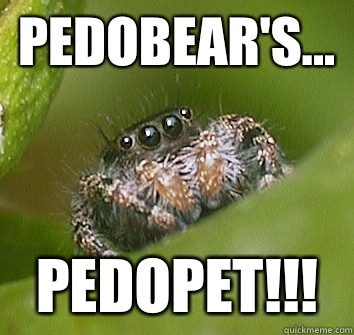 Pedobear's... Pedopet!!!  Misunderstood Spider