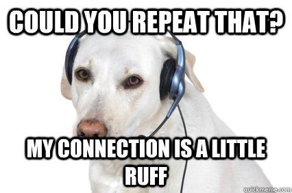 could you repeat that? my connection is a little ruff  Telemarketer Dog