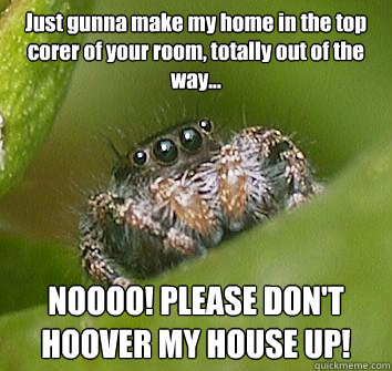 Just gunna make my home in the top corer of your room, totally out of the way... NOOOO! PLEASE DON'T HOOVER MY HOUSE UP!  Misunderstood Spider