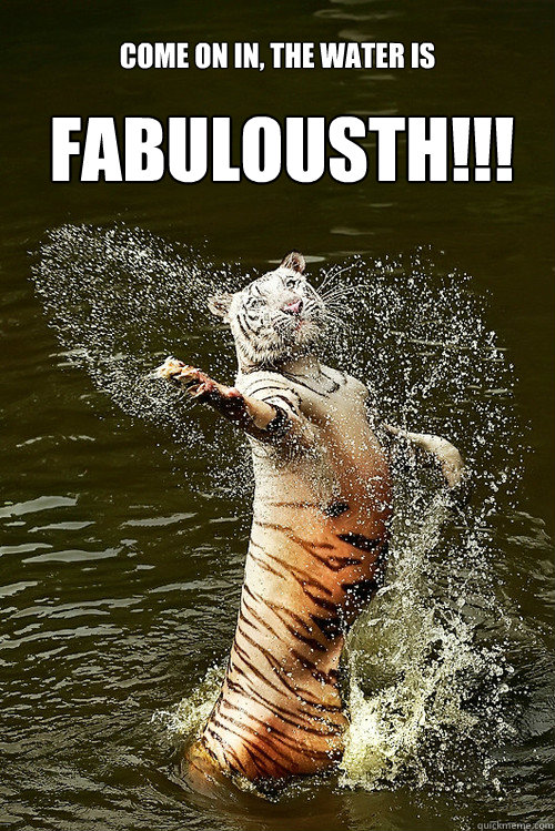 COME ON IN, THE WATER IS FABULOUSTH!!! - COME ON IN, THE WATER IS FABULOUSTH!!!  FAB TIGER