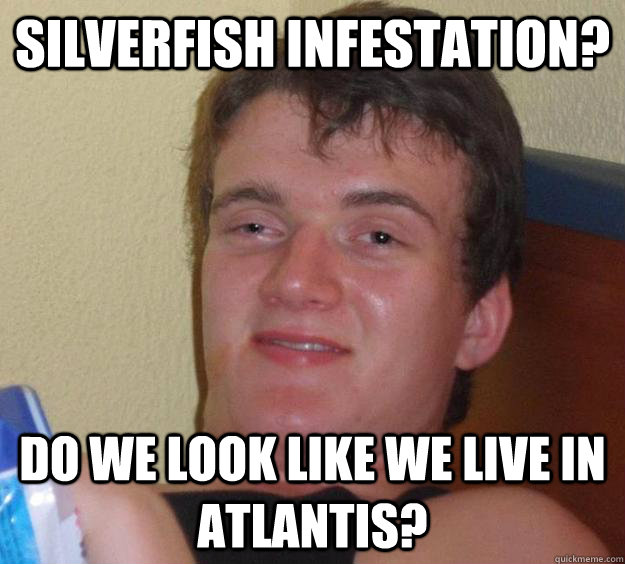 silverfish infestation? do we look like we live in atlantis?  10 Guy